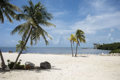 On the beach