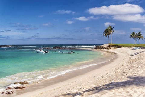 Sun loungers, beach towels