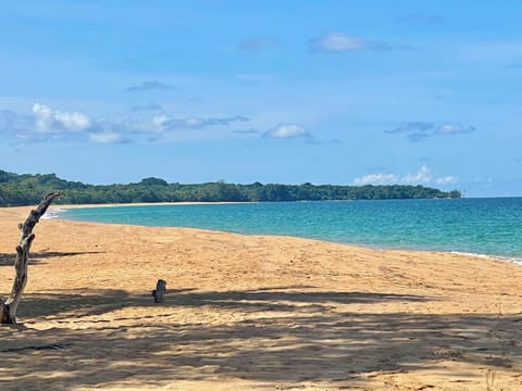 Sun loungers, beach towels