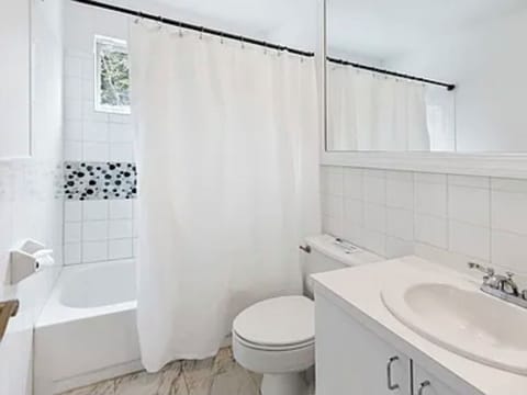 Jetted tub, hair dryer, bidet, towels