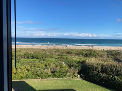 On the beach, sun loungers, beach towels