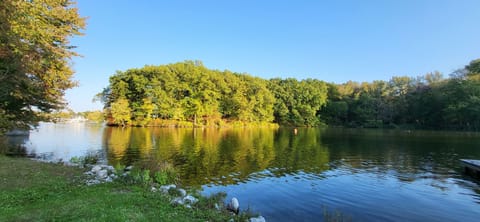 Beautiful foliage during the fall in Northeast Ohio