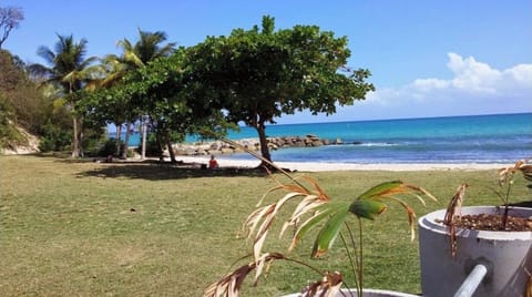 Sun loungers