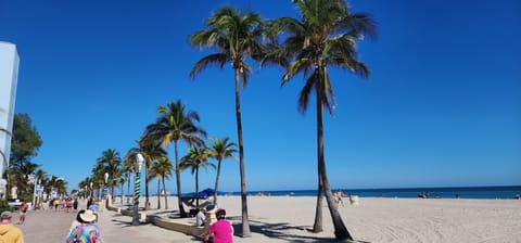 Beach nearby, sun loungers, beach towels