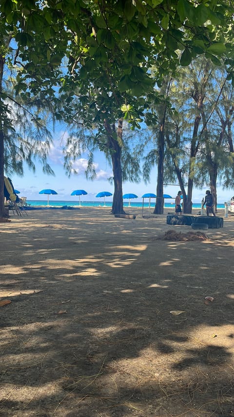 Sun loungers, beach towels