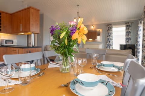 Living Room / Lounge