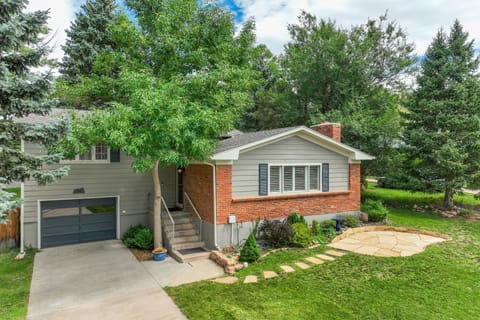 Welcome to Songbird Sanctuary!