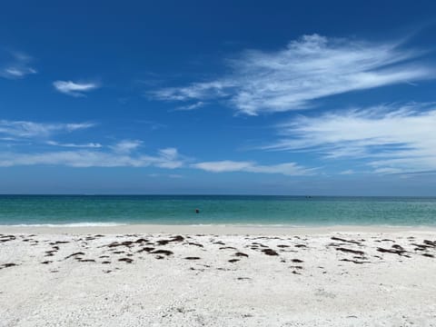 Sun loungers, beach towels