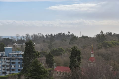 Views from first patio off Dining, water and mountain views.