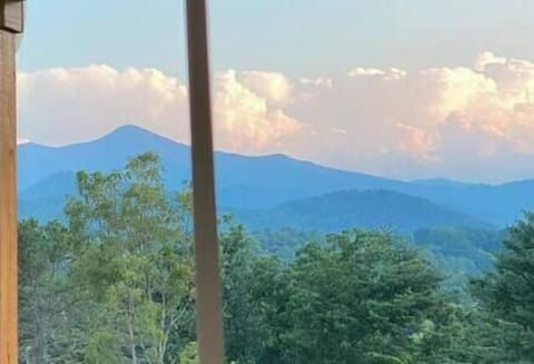 View from the living room