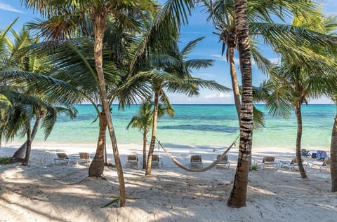 Sun loungers, beach towels