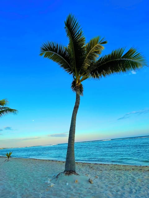 On the beach, beach towels