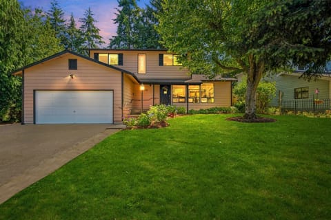 Grass, Lawn, Nature, Outdoors, Yard