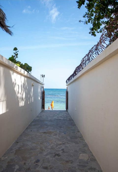 Sun loungers, beach towels