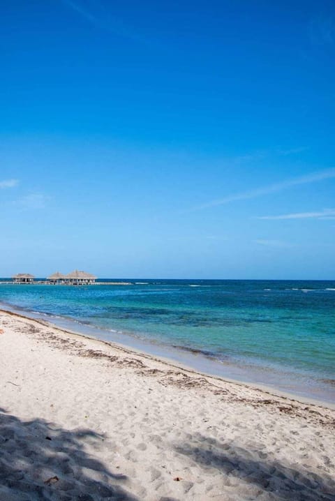 Sun loungers, beach towels