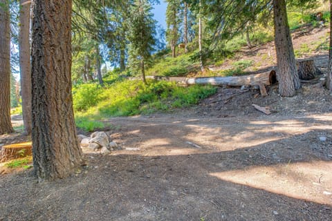 Parking | Driveway (3 Vehicles) | Free Street Parking