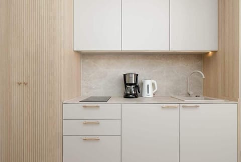 Compact kitchen with kettle and coffee essentials – Everything you need for a quick snack or drink.