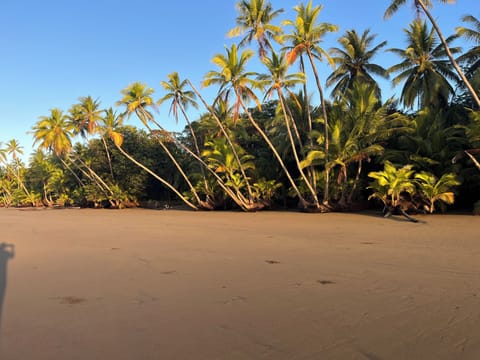 Beach nearby, sun loungers, beach towels