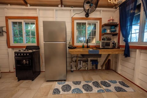 Fridge, oven, stovetop, coffee/tea maker