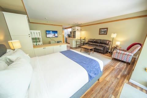 Deluxe Studio condo!