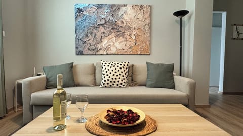 The Living Room with a sofa bed that can be transformed into a double bed.