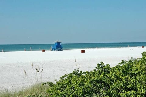 Sun loungers, beach towels