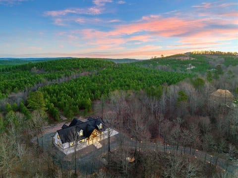Aerial view of The Gentry. Amongst the lush forest!