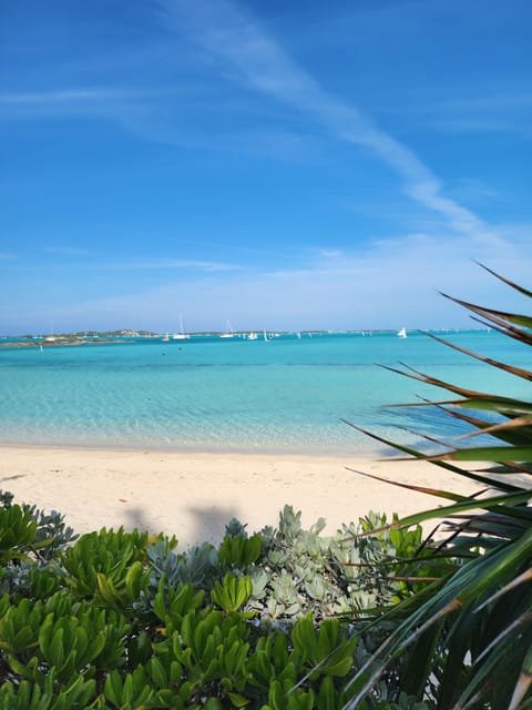 Beach nearby, sun loungers, beach towels