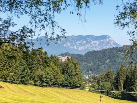 Immediate Surroundings [summer] (&lt;1 km)