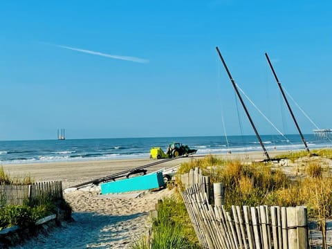 Sun loungers, beach towels