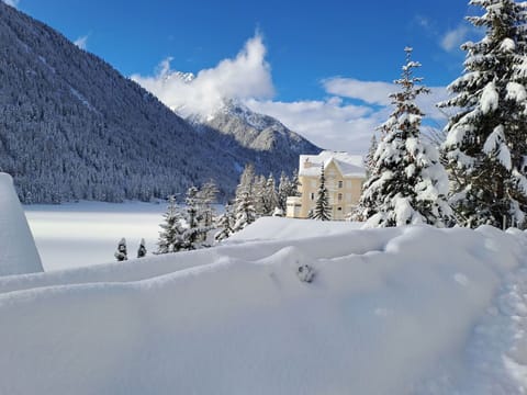 Cloud, Sky, Plant, Snow, Mountain, Slope, Larch, Tree, Natural Landscape, Terrain