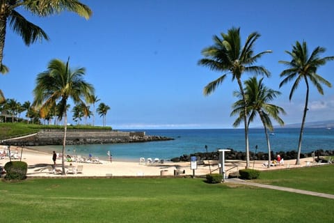 Sun loungers, beach towels