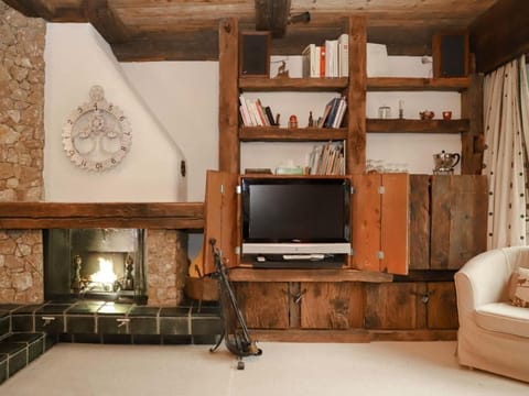 TV, fireplace, DVD player, books