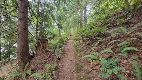 Trail leading down to dock consists of steps, natural path and series of stairs