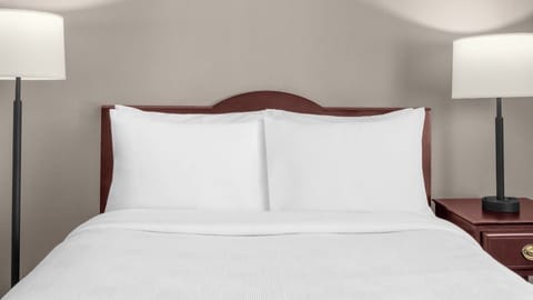 Unit with 1 Queen size bed