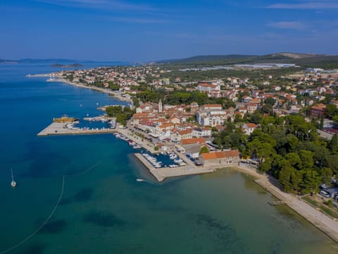 Plant, Flower, Property, Table, Building, Furniture, Window, Flowerpot, Shade, Houseplant