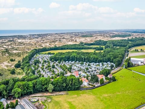 Daytime, Plant, Property, Sky, Cloud, Nature, Natural Landscape, Tree, Land Lot, Urban Design