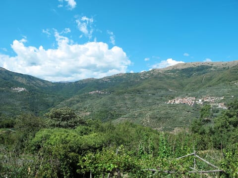Cloud, Sky, Plant, Mountain, Natural Landscape, Grass, Cumulus, Plain, Grassland, Landscape