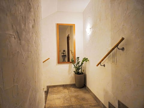 Plant, Flowerpot, Building, Houseplant, Wood, Floor, House, Flooring, Wall, Ceiling