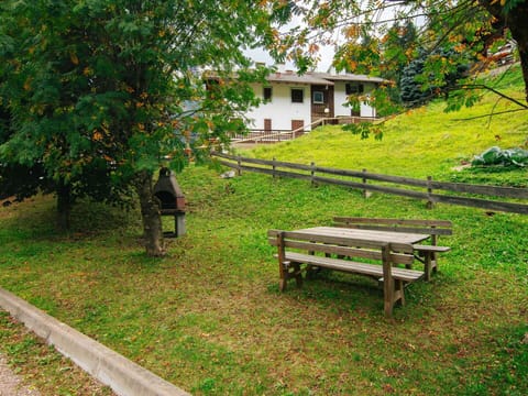 Plant, Outdoor Bench, Leaf, Tree, Botany, Outdoor Furniture, Natural Landscape, Land Lot, Vegetation, Shade