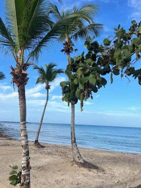 On the beach, sun loungers, beach towels