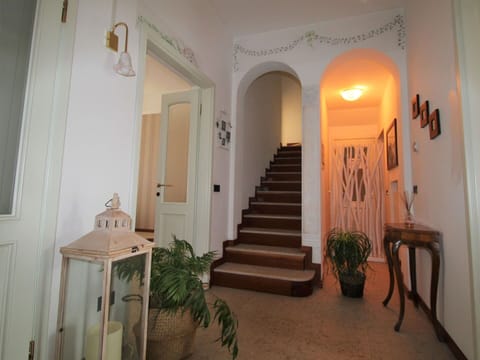 Plant, Building, Wood, Houseplant, Stairs, Flooring, Floor, Real Estate, Flowerpot, House