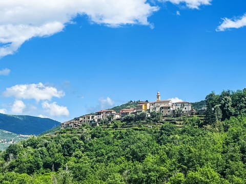 Sky, Cloud, Building, Blue, Natural Landscape, Mountain, Tree, Cumulus, Landscape, Plant