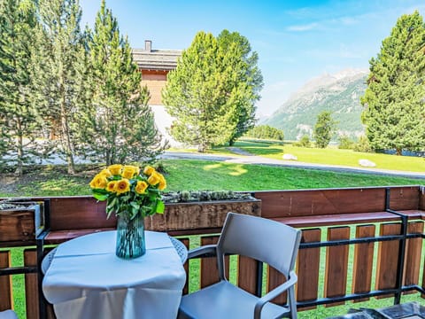 Flower, Table, Plant, Sky, Furniture, Property, Cloud, Green, Nature, Chair