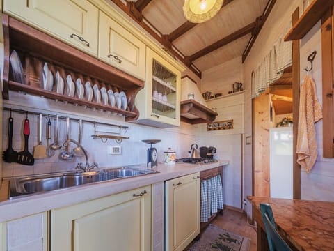 Property, Kitchen Sink, Kitchen, Cabinetry, Lighting, Wood, Interior Design, Sink, Kitchen Appliance, Countertop