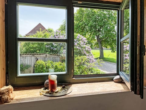 Plant, Property, Window, Wood, Tableware, Interior Design, Lighting, Shade, Sunlight