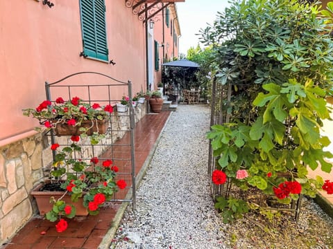 Table, Furniture, Sky, Plant, Property, Building, Tableware, Chair, Outdoor Table, Outdoor Furniture