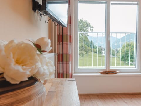 Property, Window, Flower, Plant, Wood, Sky, Textile, Table, Shade, Building