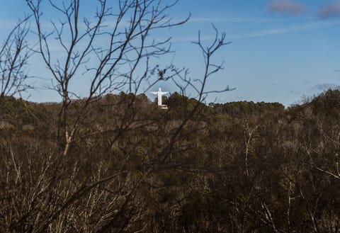 Views of Christ of the Ozarks