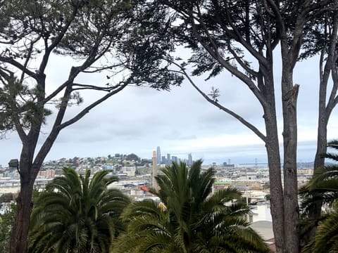 Beautiful views of downtown San Francisco from this bedroom